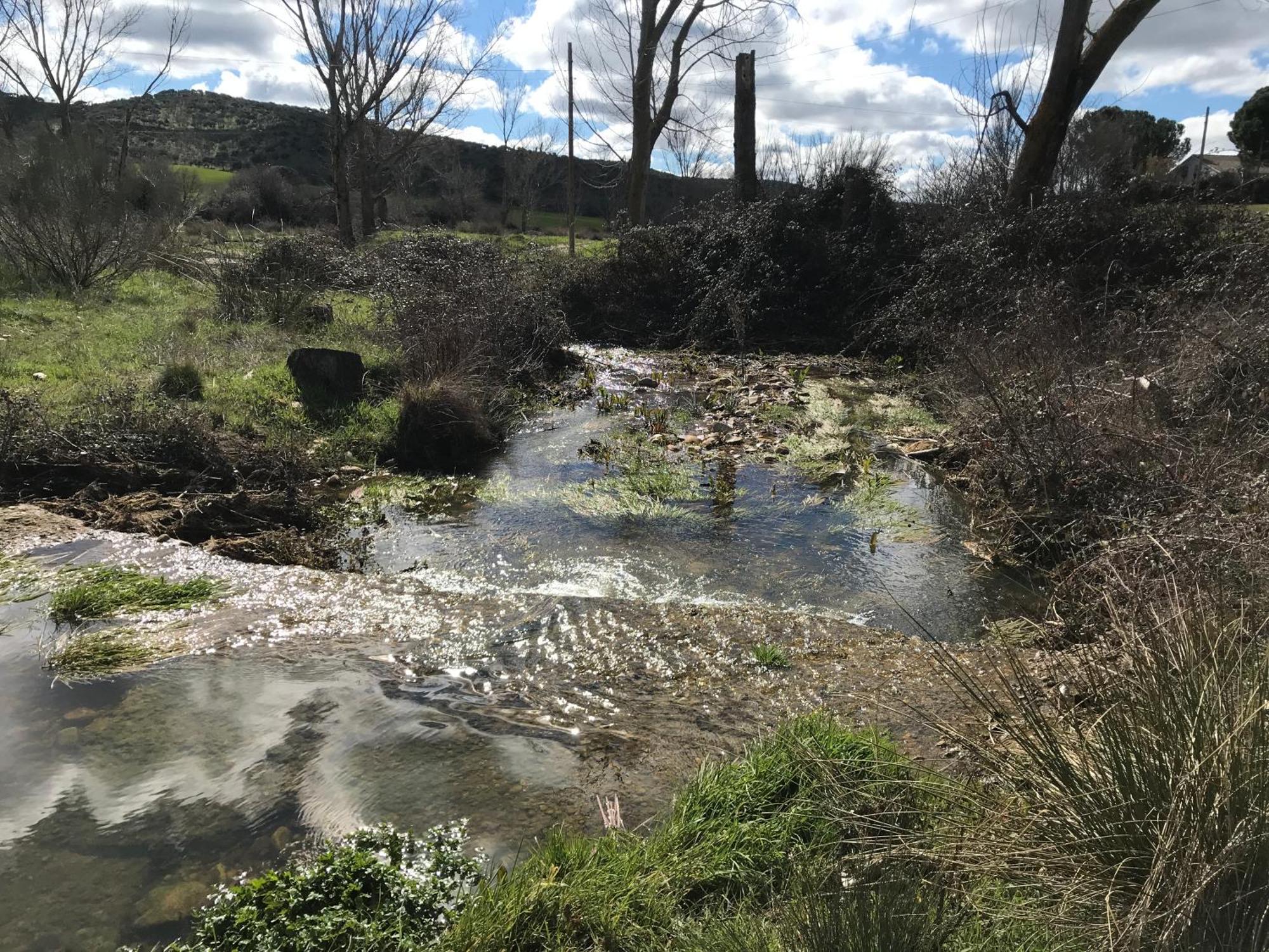 Los Cipreses De Mesones Mesones  Buitenkant foto