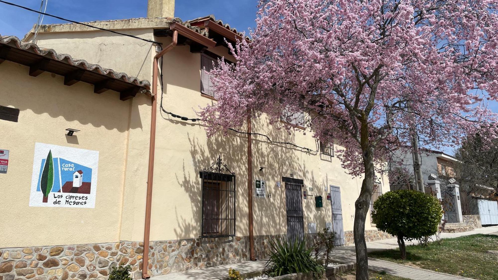 Los Cipreses De Mesones Mesones  Buitenkant foto